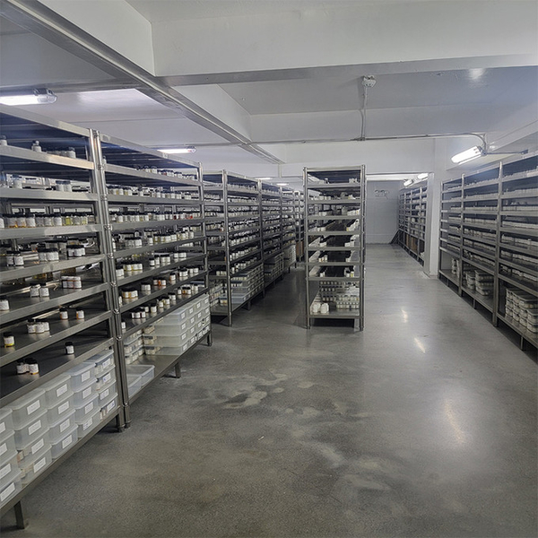 Guangzhou plant fragrance Co., Ltd 제조업체의 생산 라인