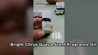 자몽 구아바 캔들 향 오일