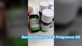 데이지 프래그런스 오일 롱 라스팅 홈 향기