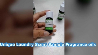 해마 독 세탁 향료 샘플