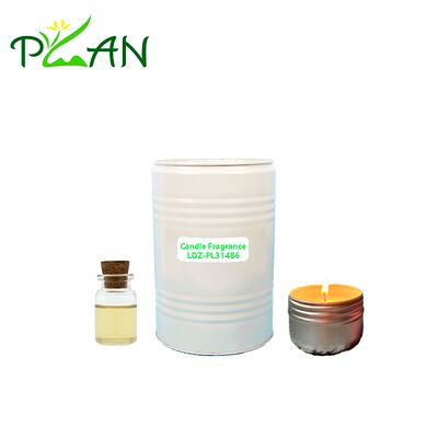 무료 샘플 홈 스프레이 홀리데이 인 향수 에센스 오일 디푸저 & 향기 촛불 & Reed Stick 원자재