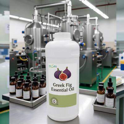 매일 사용하는 향수 제조/생산용 순수 향 오일 그리스 무화과 에센스 (무료 샘플 포함)